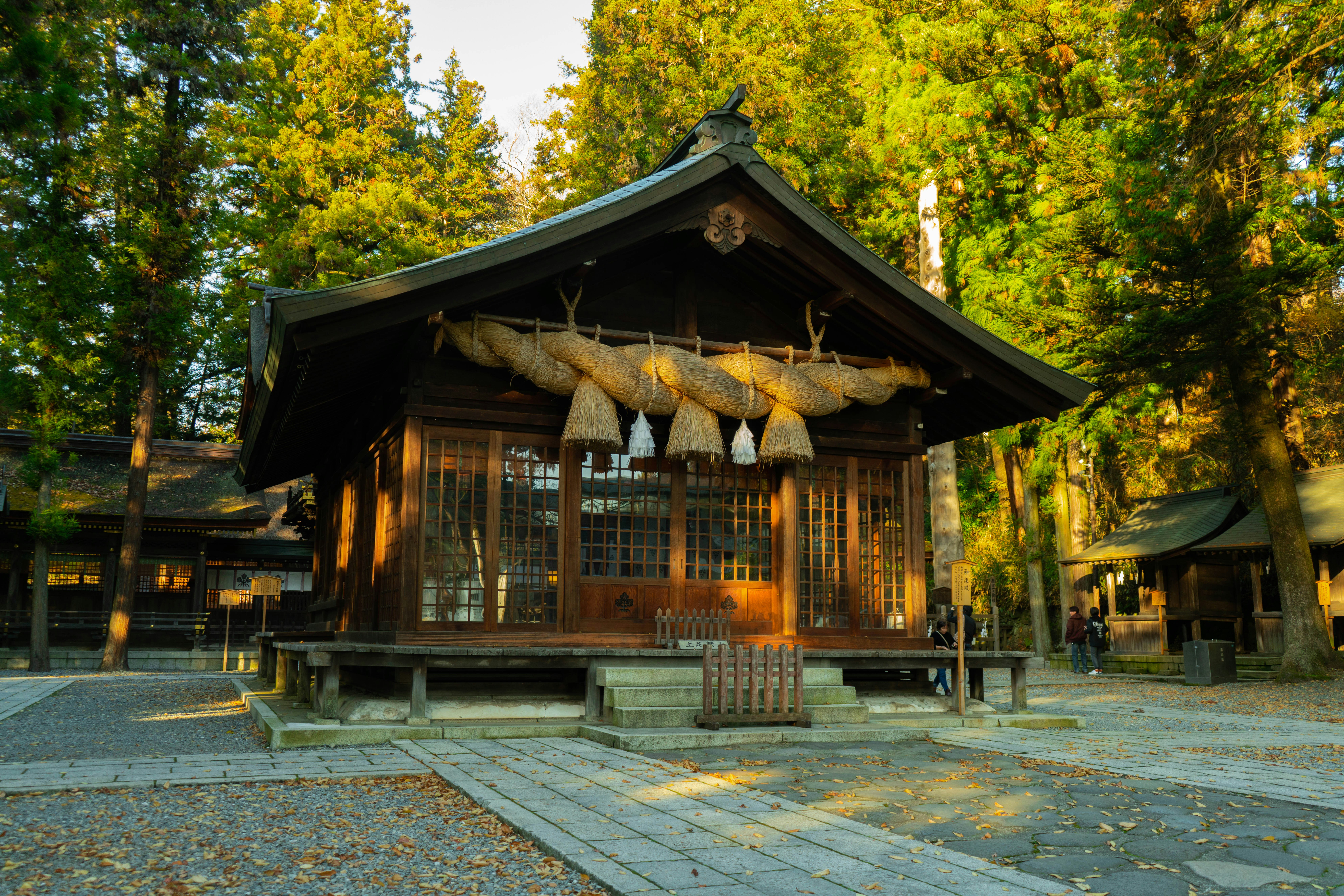 Suwa Taisha Shimosha Harumiya Kaguraden, in japan [IF YOU USE MY PICTURES, PLS CREDIT ME (insta : @dreiimos)]