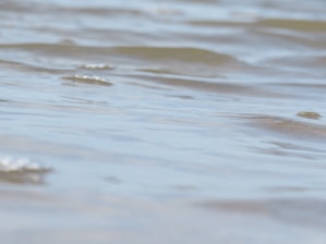 Close-up of gentle sound waves rippling over a serene crystal cluster.