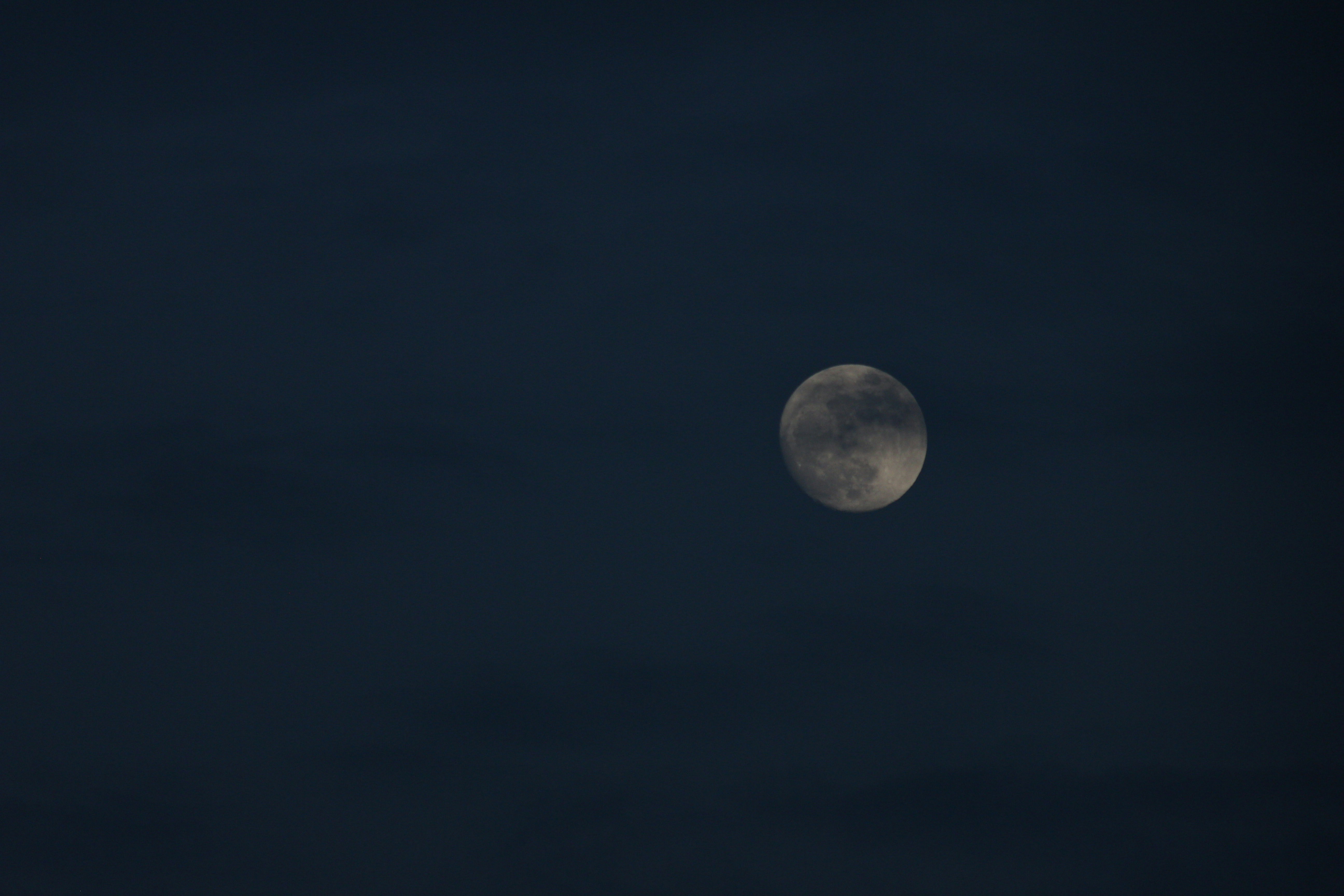 8 sustainable hotels in Dhahran