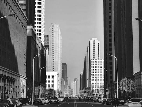 A black and white cityscape featuring a street flanked by tall skyscrapers. Numerous buildings exhibit modern architectural designs with a mix of glass and concrete facades. Streetlights line the road, and parked cars are visible along both sides of the street. Sparse leafless trees add a stark contrast to the urban environment.
