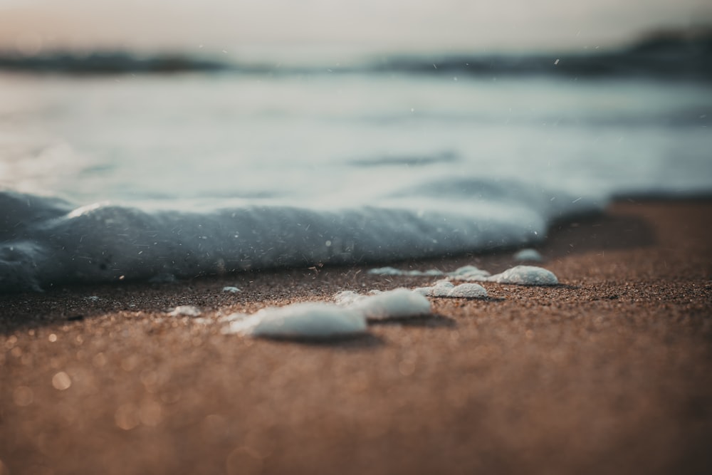 close up photo of sea waves on shore during daytime