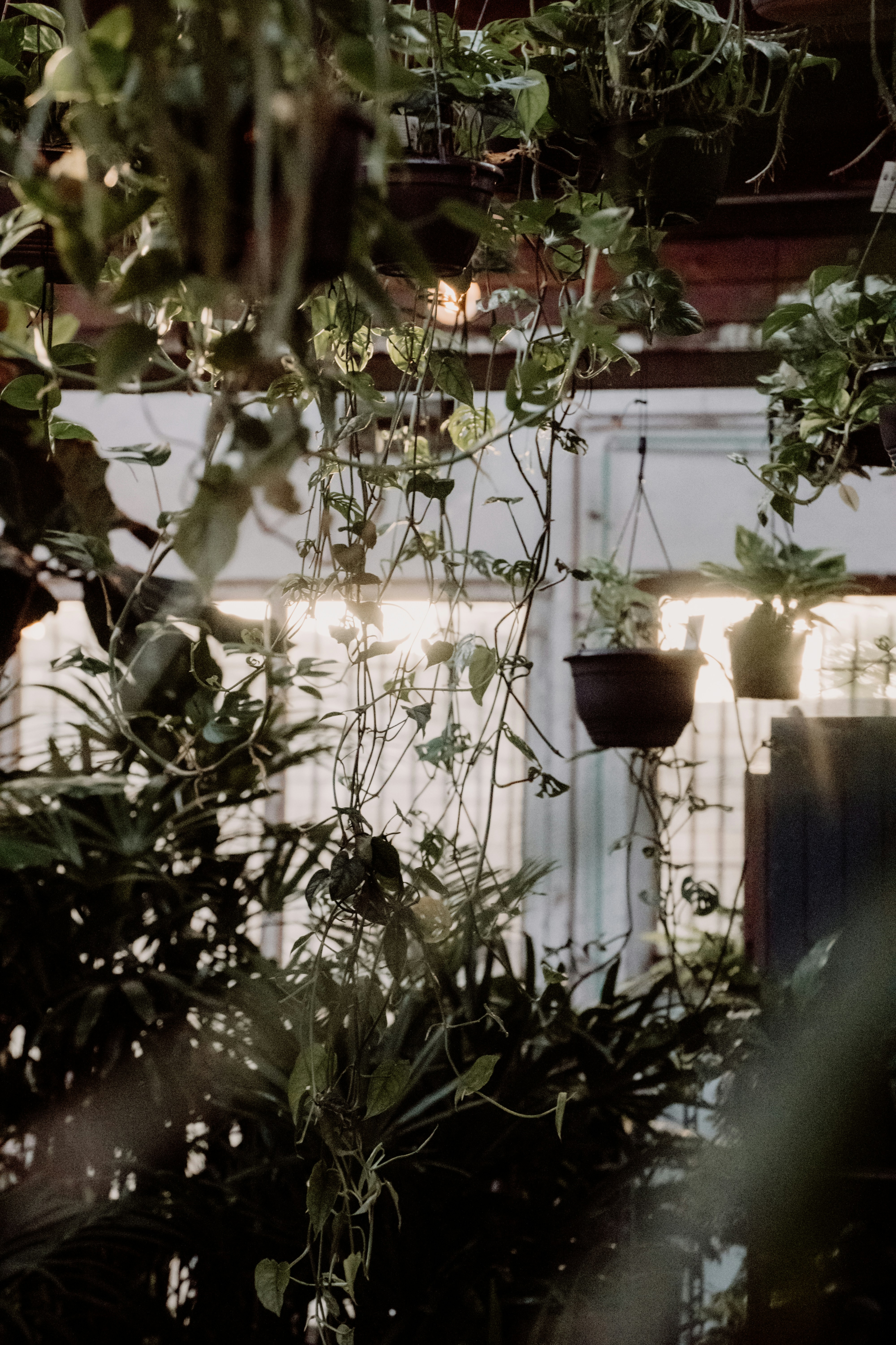 Photo by joshwithers