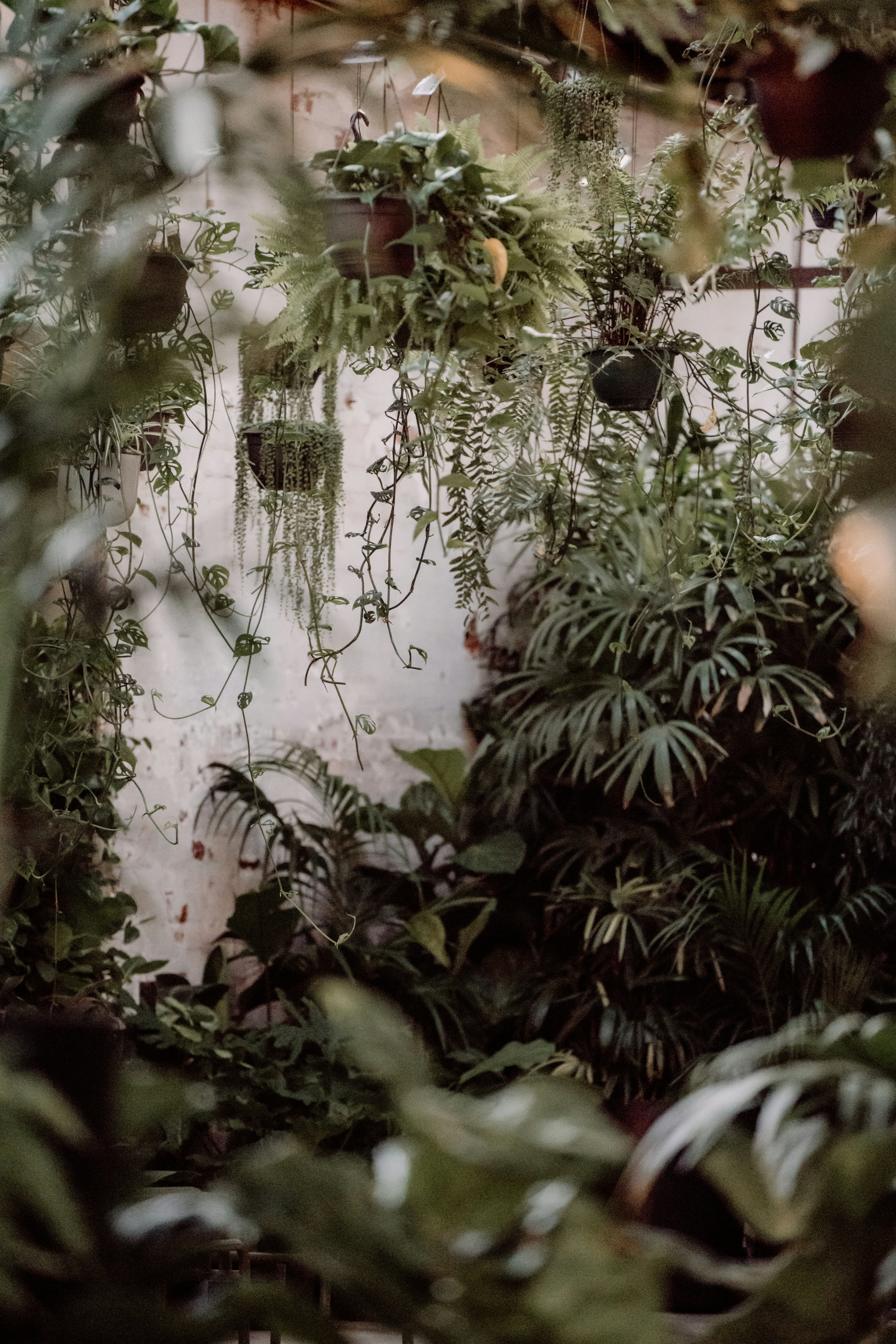 Photo by joshwithers