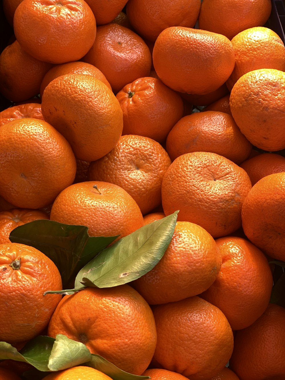 orange fruit on white ceramic plate