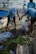Several individuals wearing blue Ocean-themed shirts and white caps are actively collecting trash on a sandy beach. They are sorting litter into a large white bag, surrounded by various discarded items like plastic bottles and debris. In the background, small boats are moored on the water, suggesting a coastal cleanup effort.