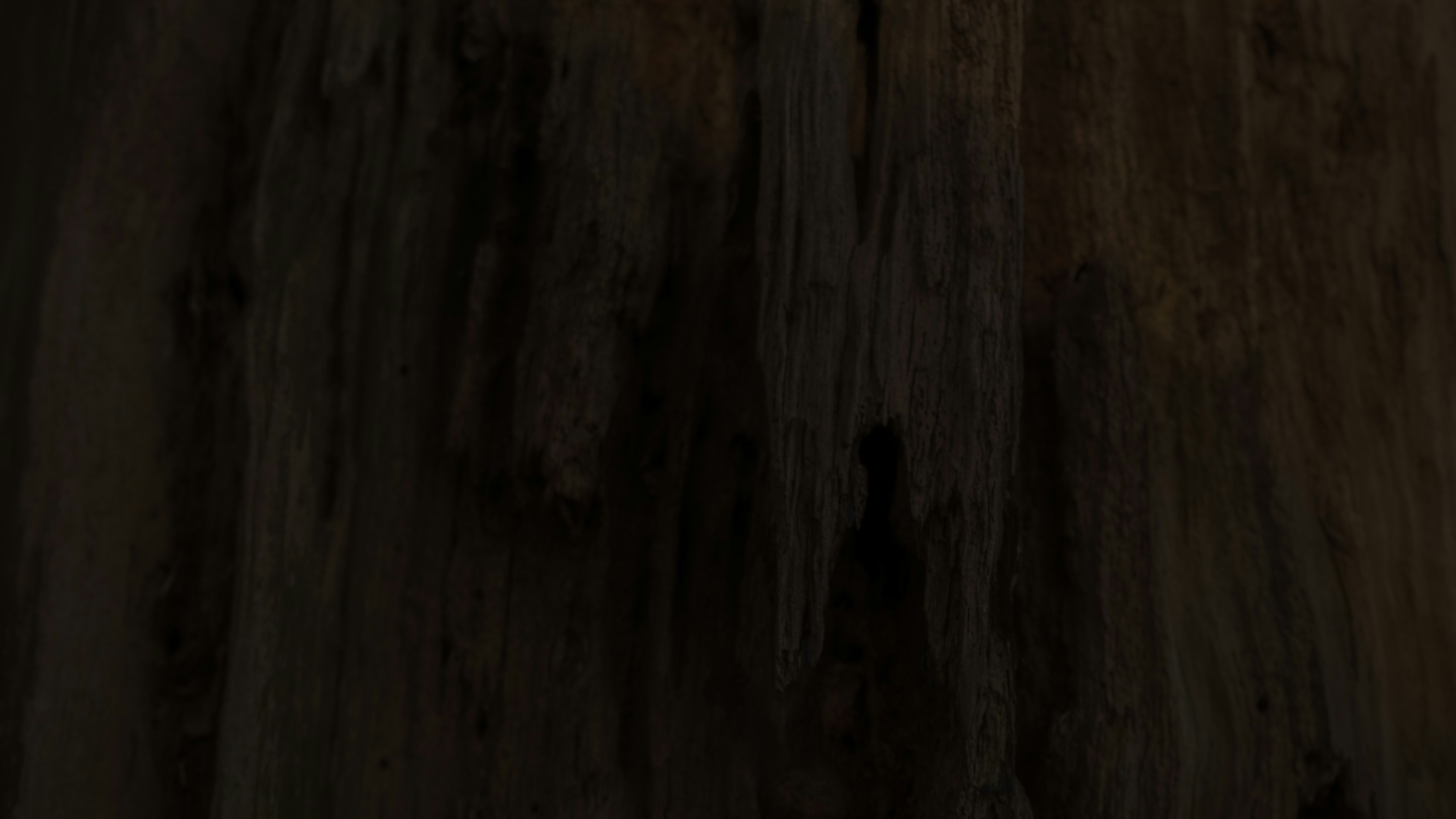 Alquitrán de Madera Natural
