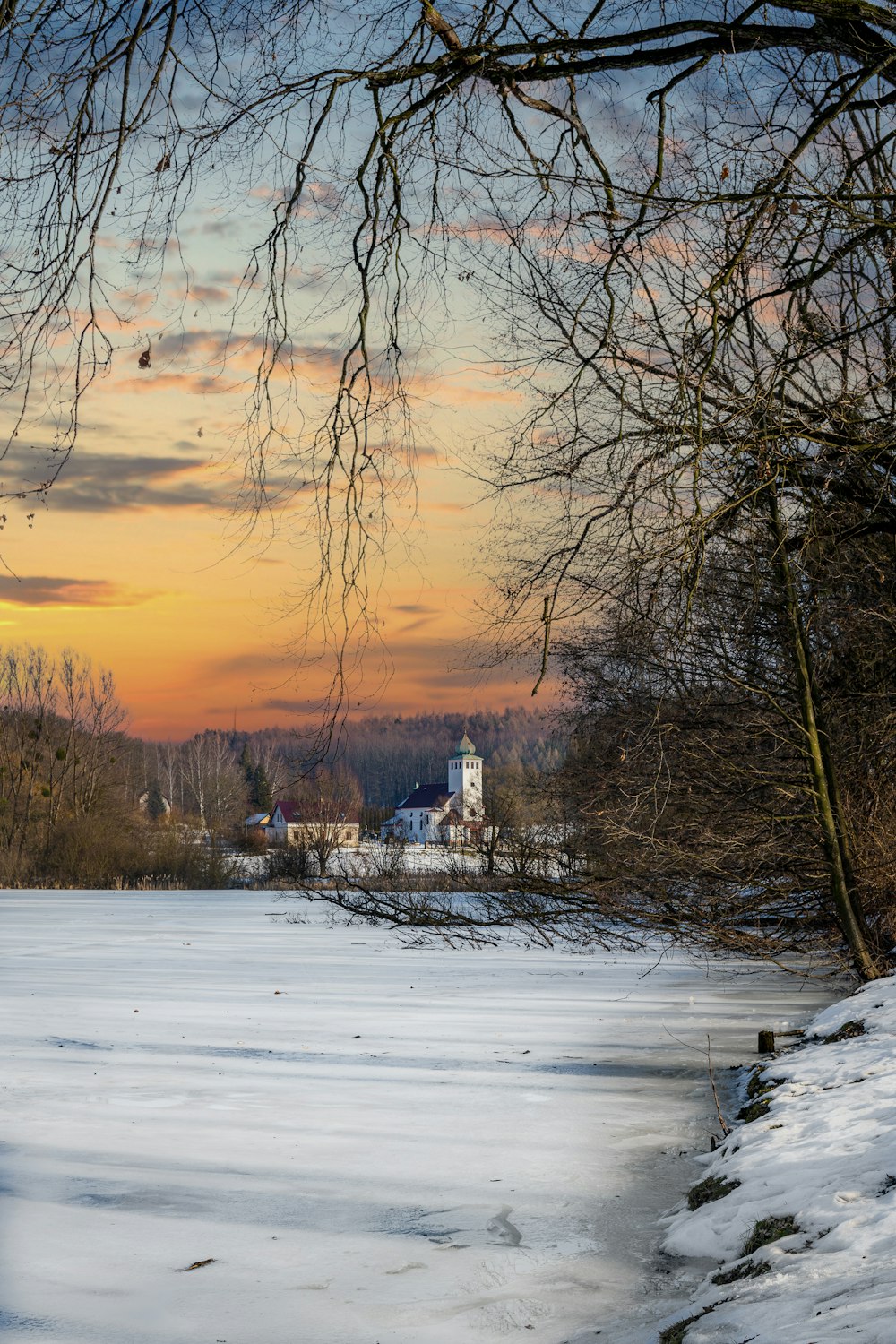 snow covered trees and houses during sunset