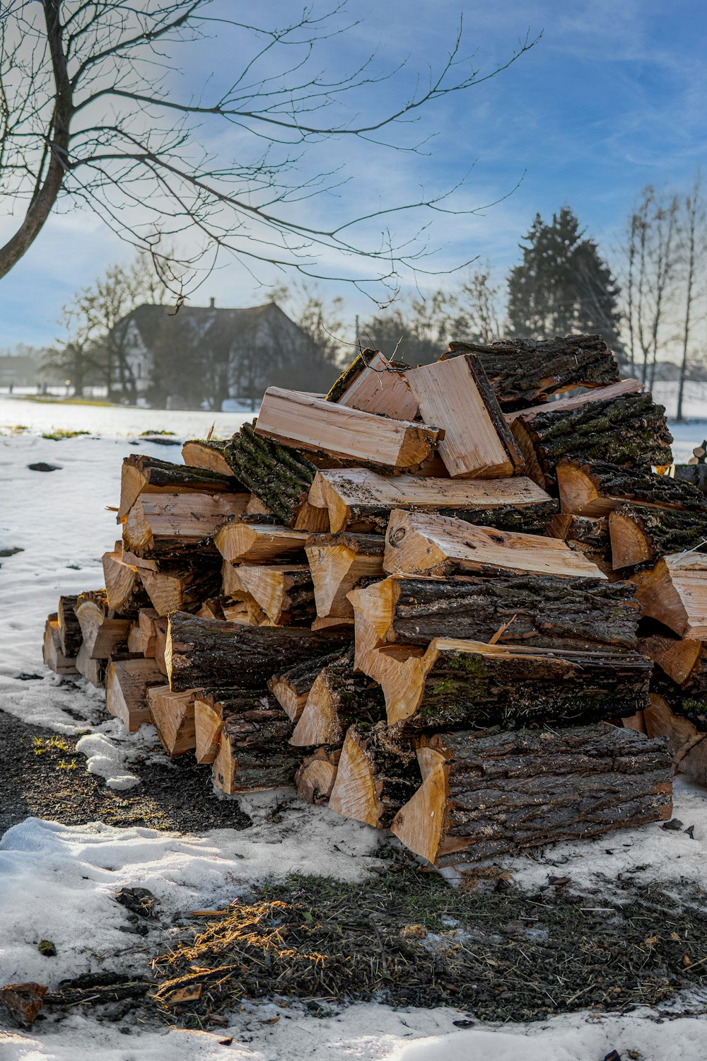 pile of brown wooden logs on snow covered ground