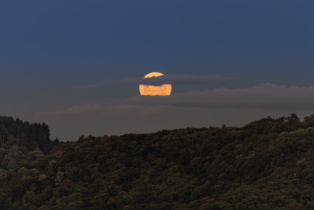 夜の青空の下に茶色と緑の山