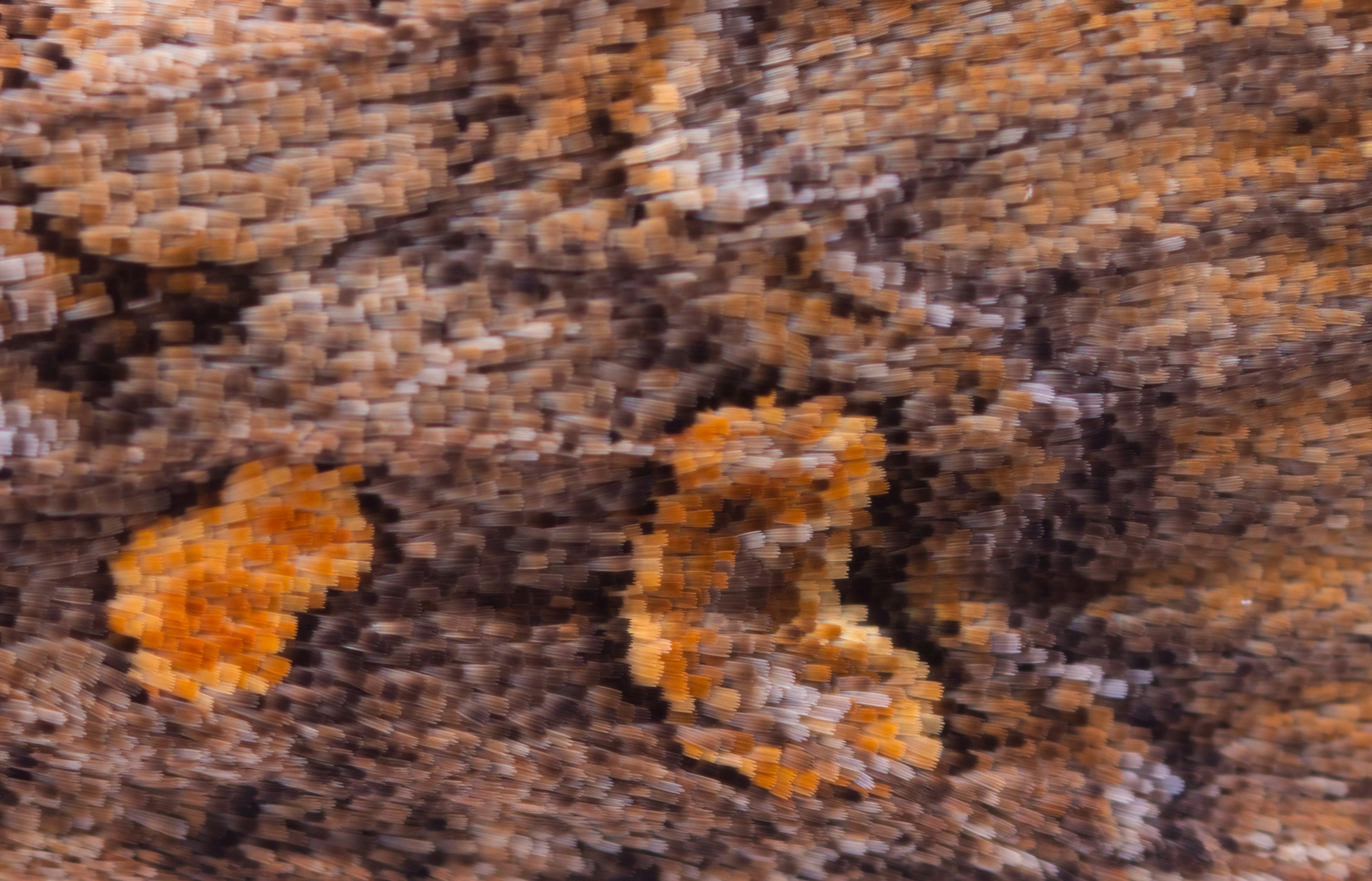 black and brown leopard textile