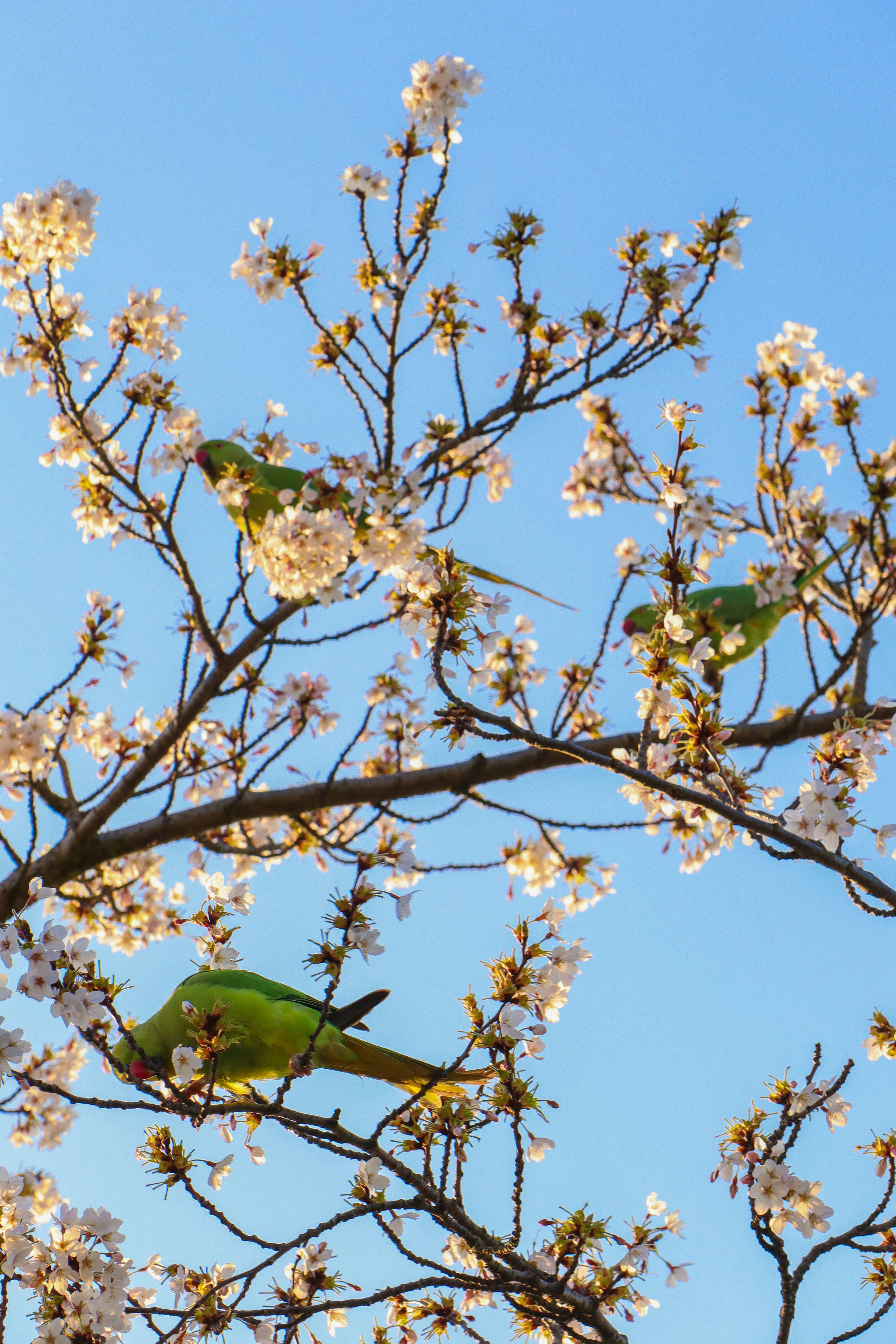 Photo by elissarhaidar