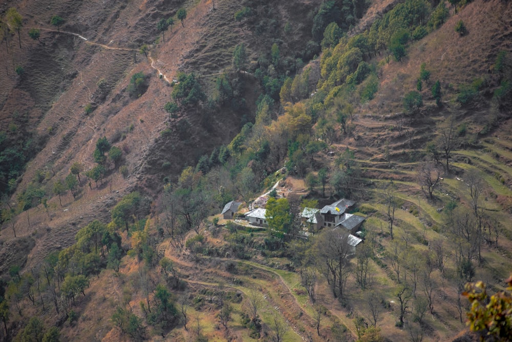 green and brown mountain during daytime