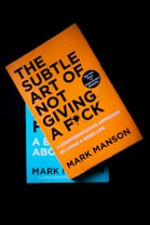 A book with a bright orange cover and bold black text partially obscures another book with a blue cover underneath. The title on the orange book is prominently displayed along with the author's name.