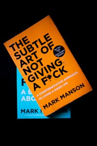 A book with a bright orange cover and bold black text partially obscures another book with a blue cover underneath. The title on the orange book is prominently displayed along with the author's name.