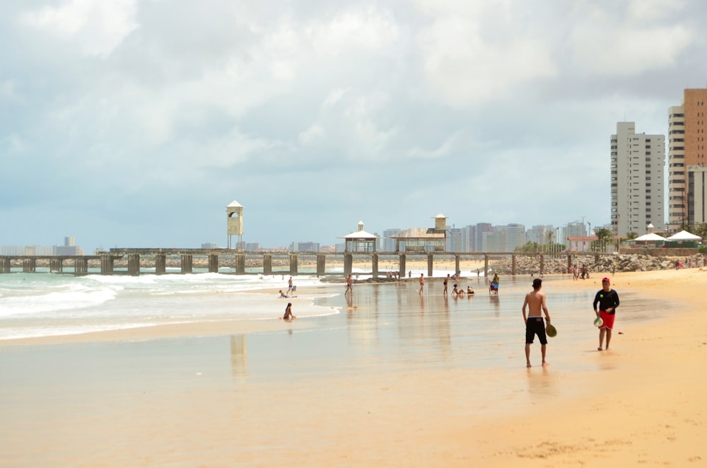 people walking on beach during daytime