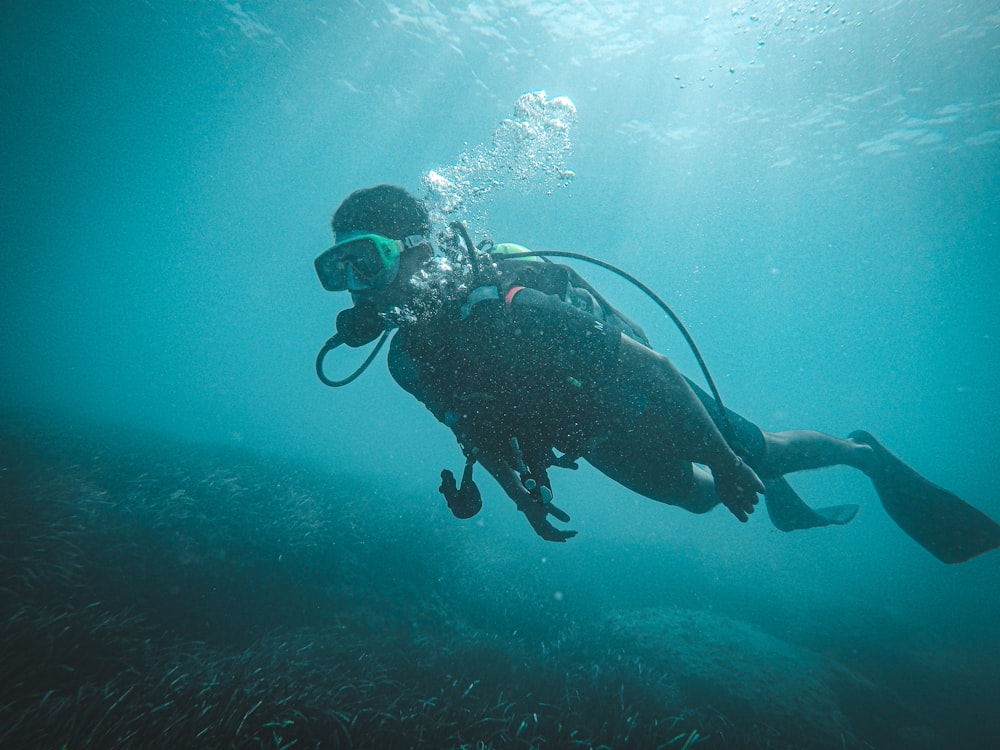 man in black and white diving suit under water