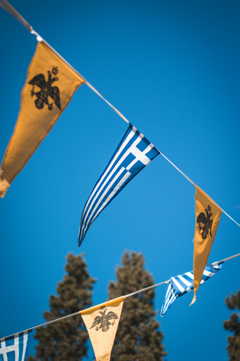 blue and white star flag