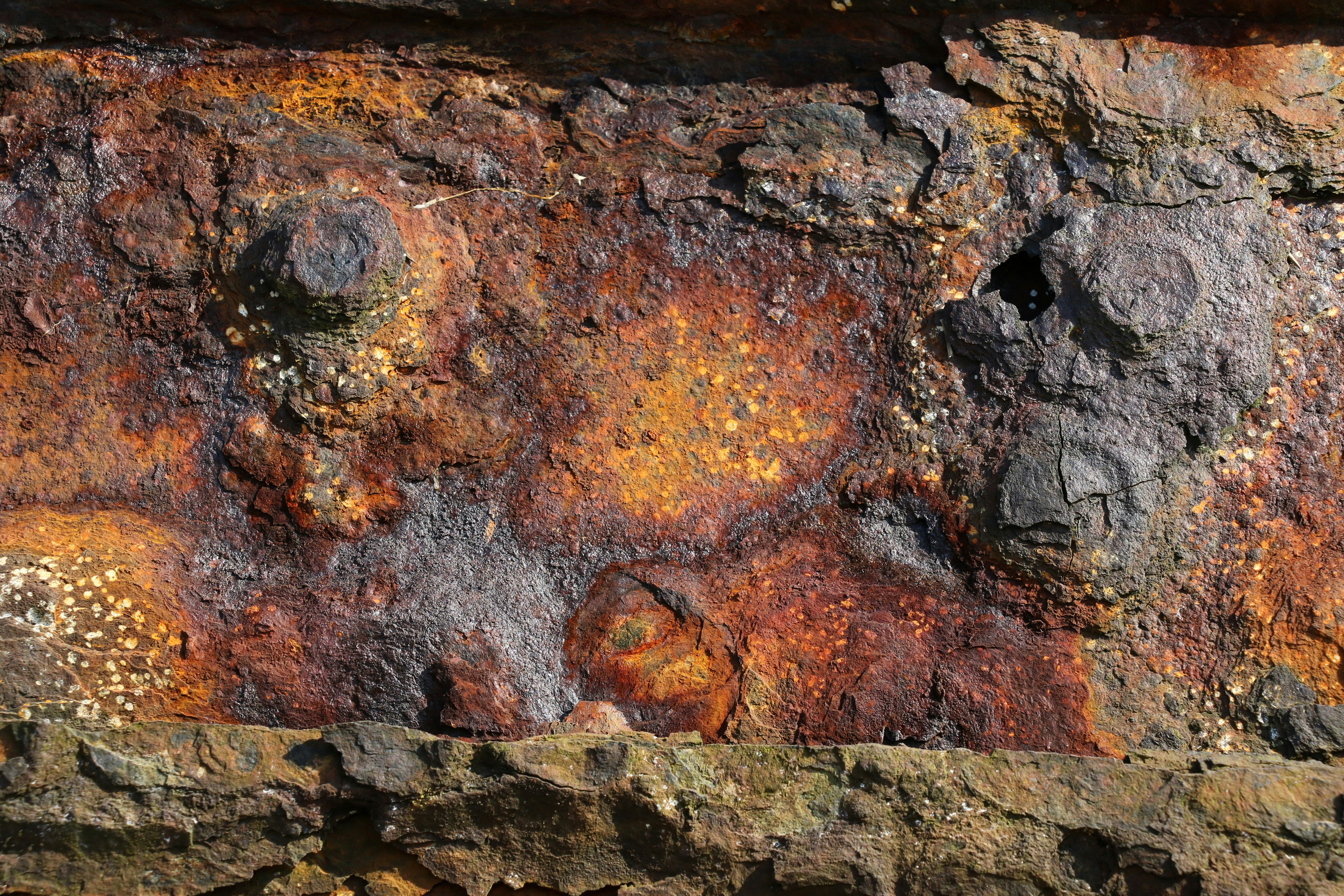 brown and black wood log