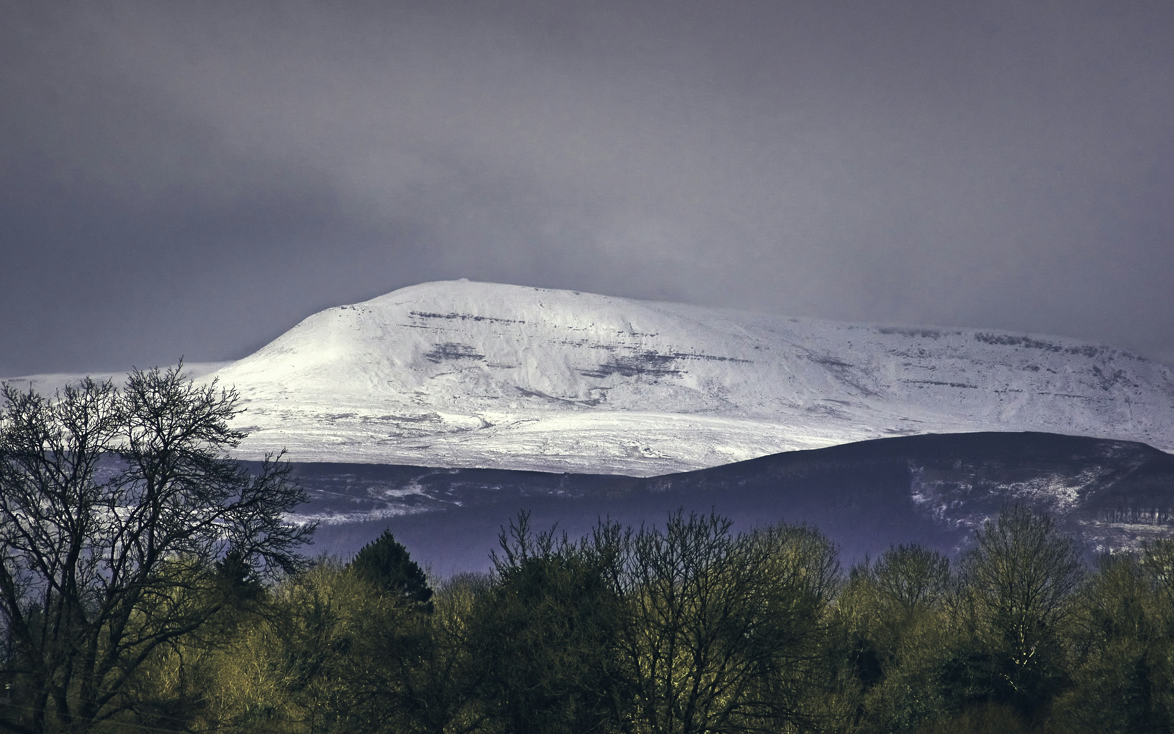 green trees near snow covered mountain during daytime