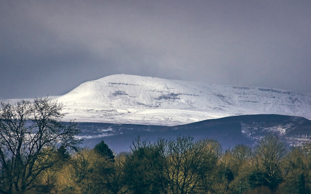 green trees near snow covered mountain during daytime