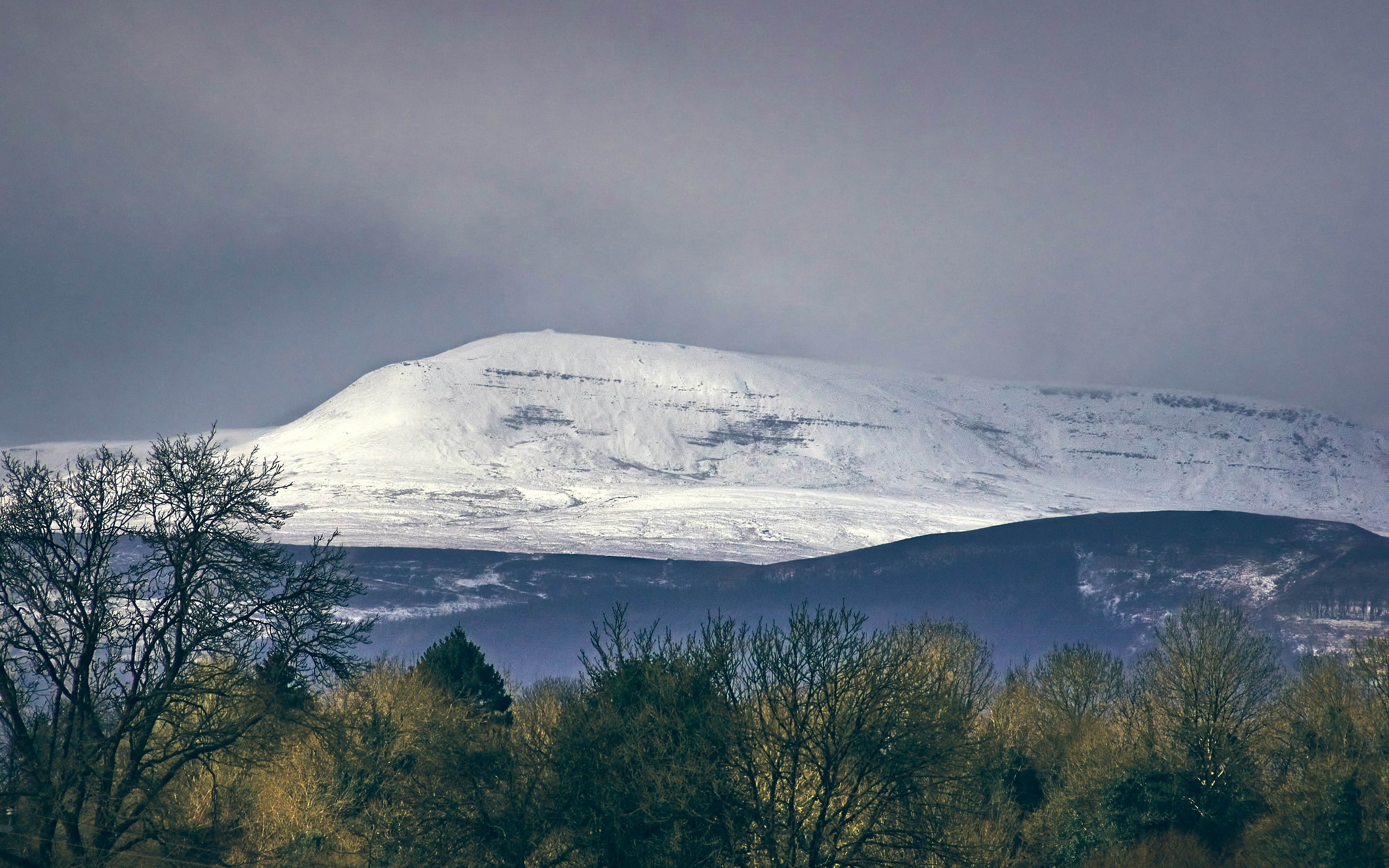 green trees near snow covered mountain during daytime