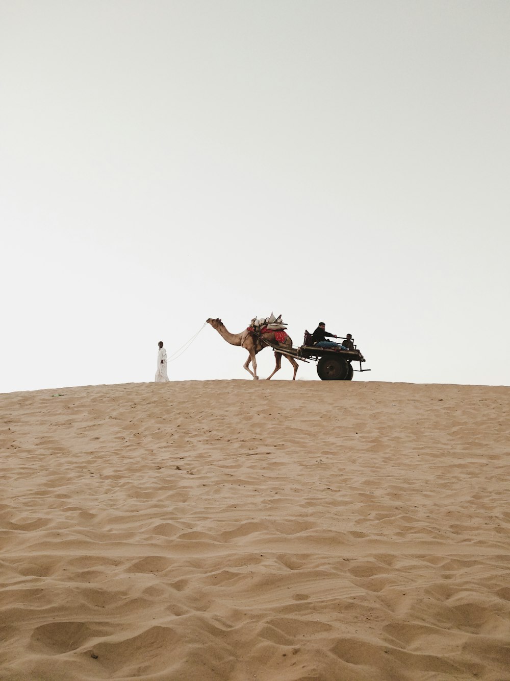 낮 동안 사막에서 낙타를 타는 남자