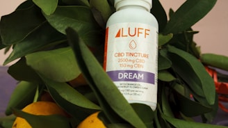 A bottle of LUFF CBD tincture with the label indicating 2500 mg of CBD and 150 mg of CBN. The bottle is placed among a cluster of green leaves and orange fruits, possibly oranges, creating a natural and organic setting.