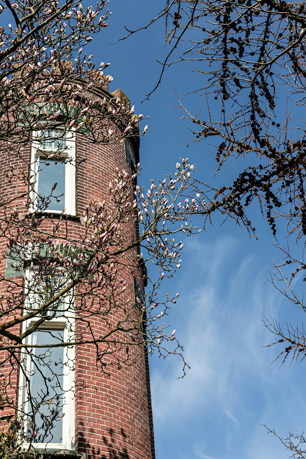 brown brick building with brown bare tree under blue sky during daytime