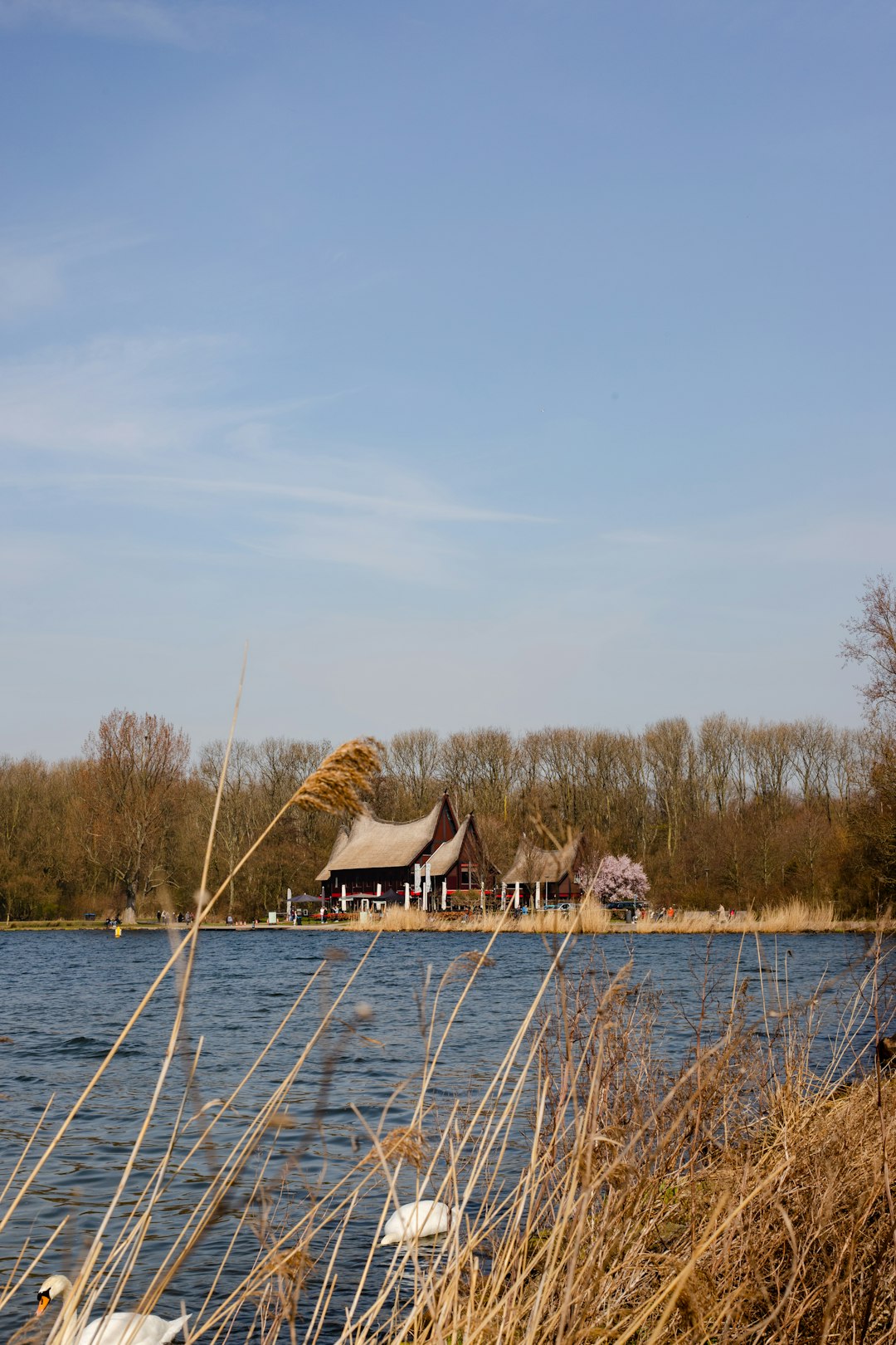 brown wooden house on body of water during daytime