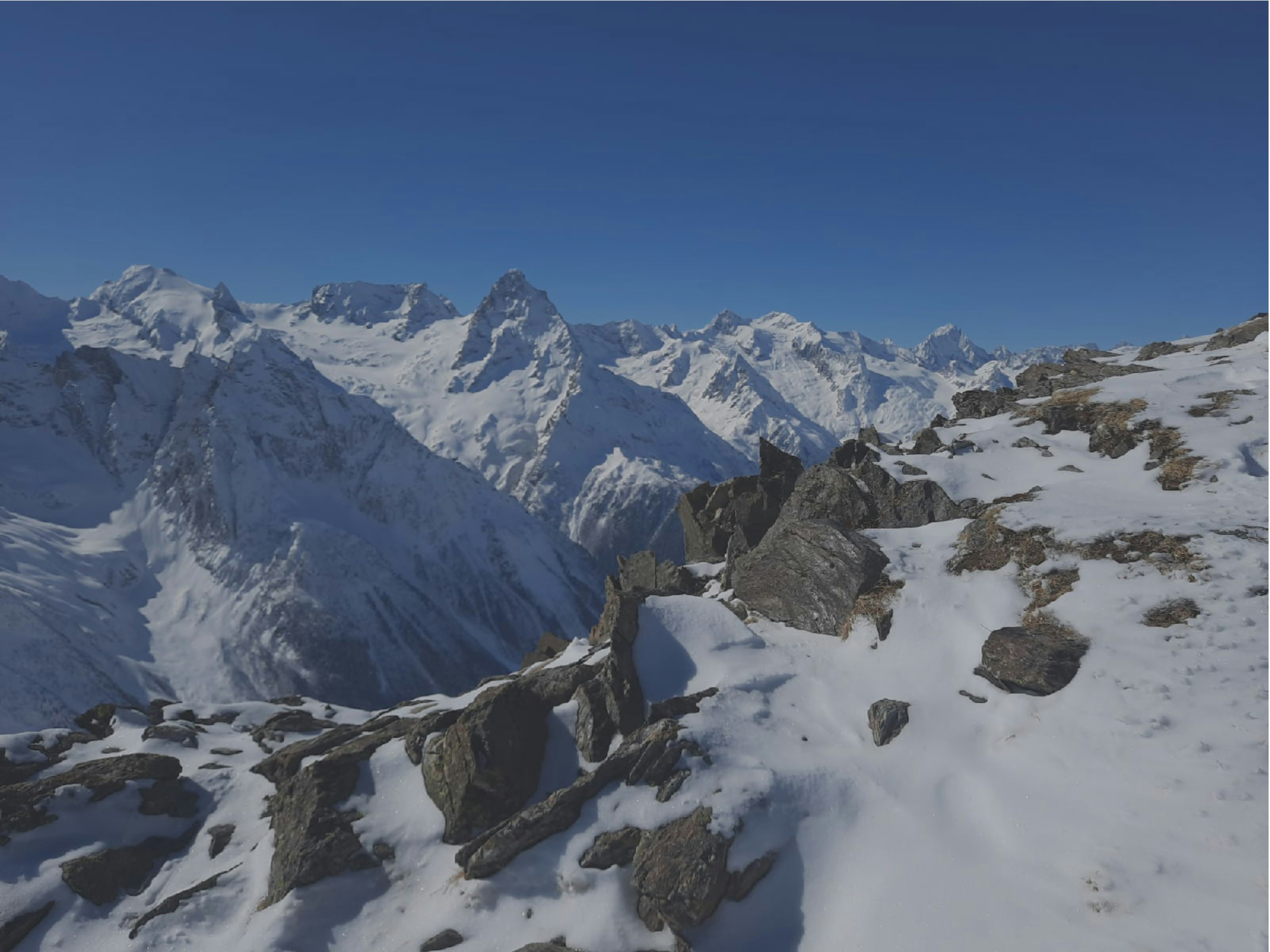 Photo by megan_goodoff