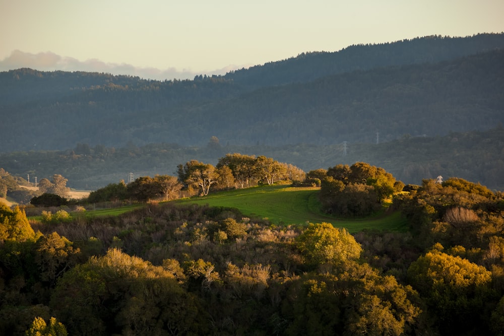 Campo de hierba verde cerca del cuerpo de agua durante el día