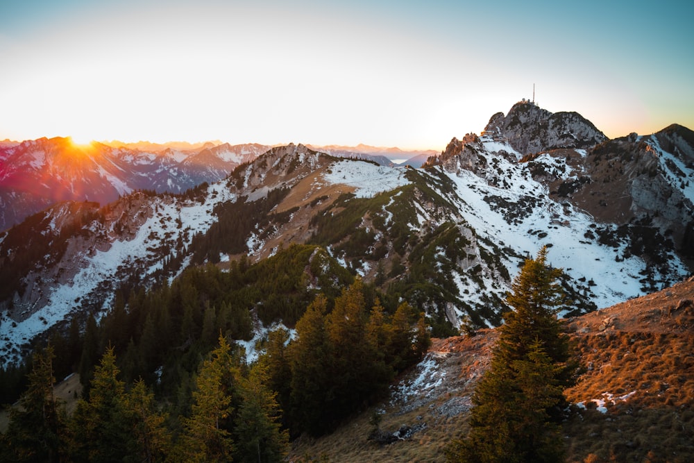 green pine trees on snow covered mountain during daytime