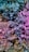 A vibrant assortment of various plants with large leaves, featuring a mixture of different textures and patterns. The foliage displays a gradient of colors, ranging from green to pink and orange, creating an eye-catching and dynamic visual effect.