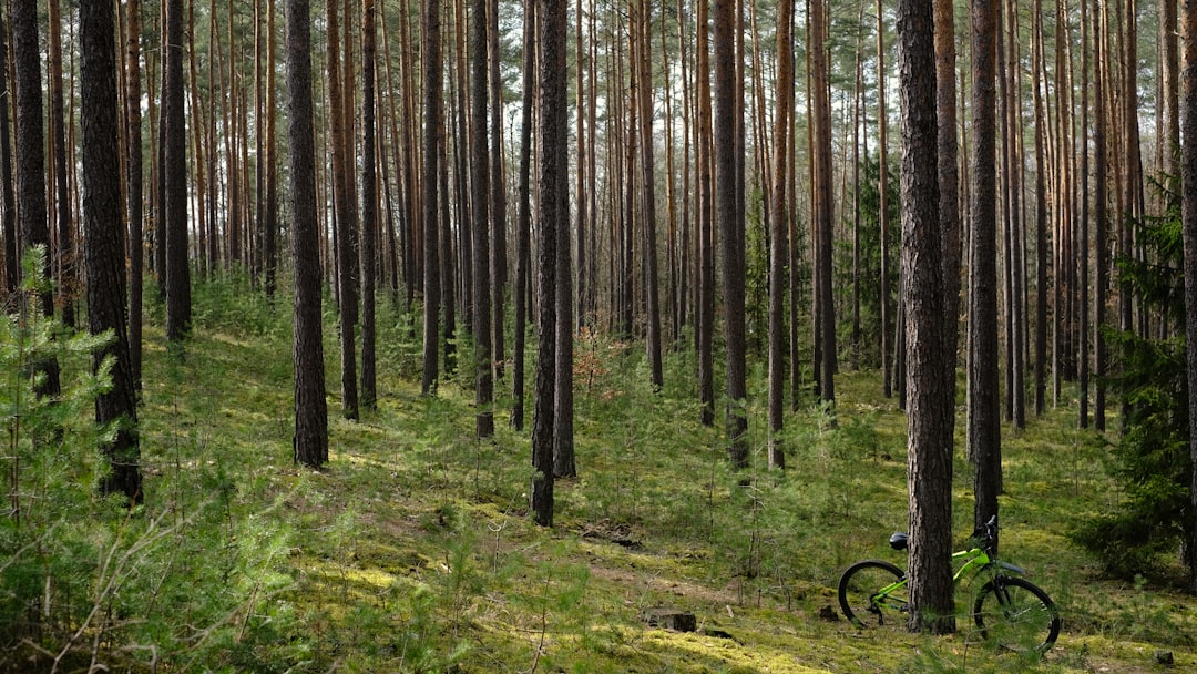 black bicycle on green grass field surrounded by trees during daytime