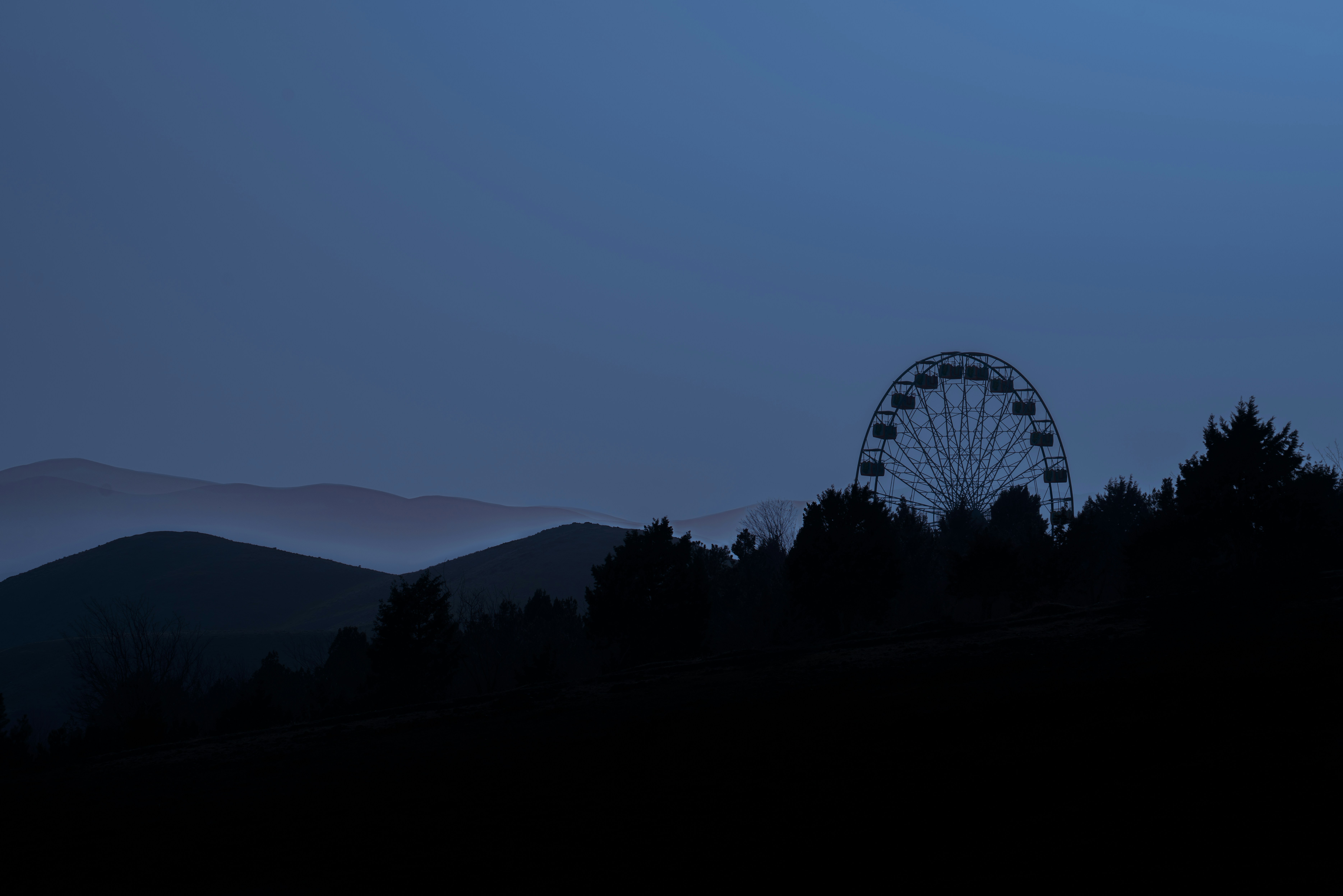 silhouette of trees and ferris wheel during sunset