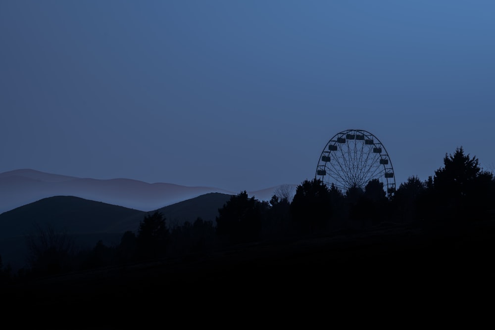 silhouette of trees and ferris wheel during sunset