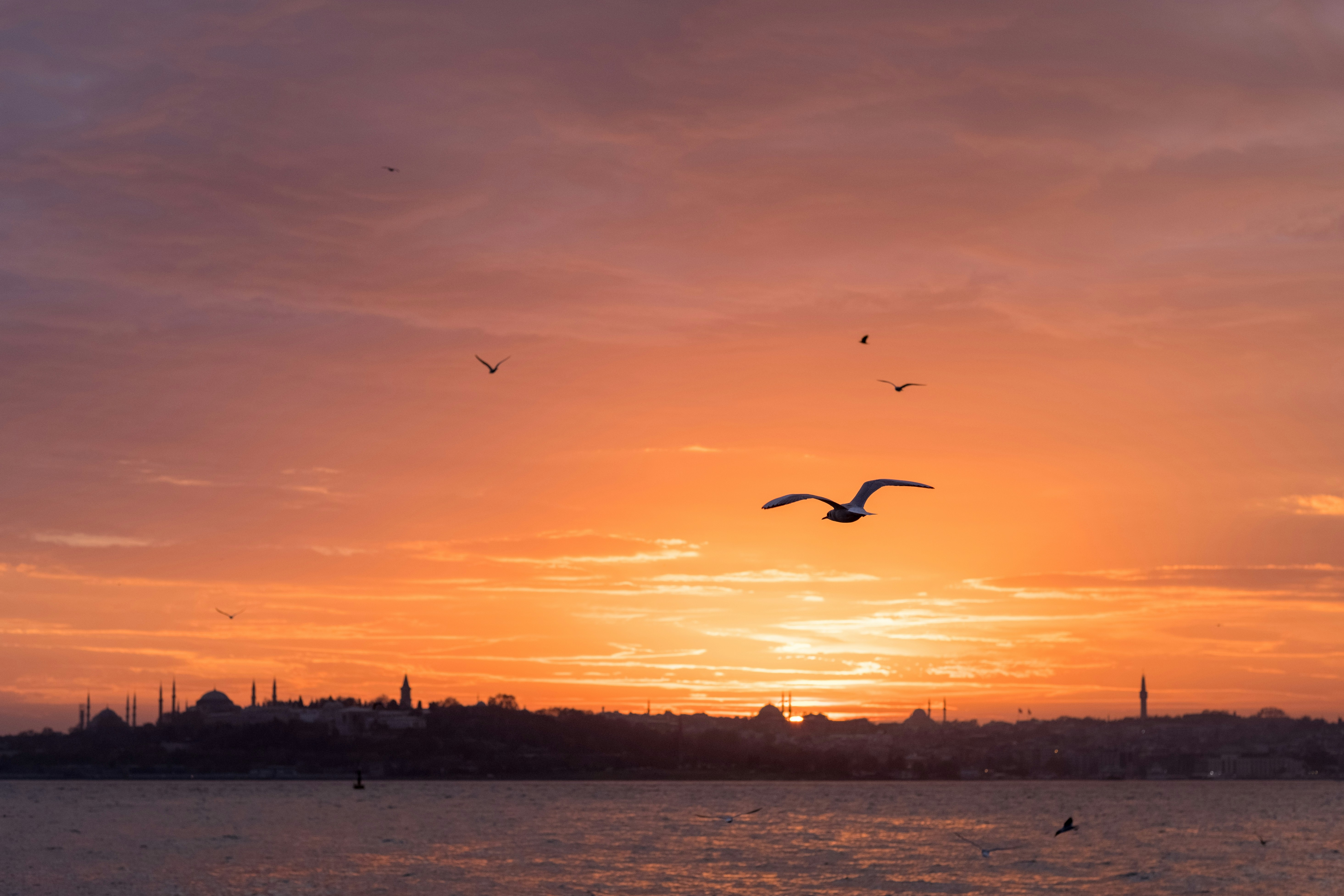 Photo by gerhardreus