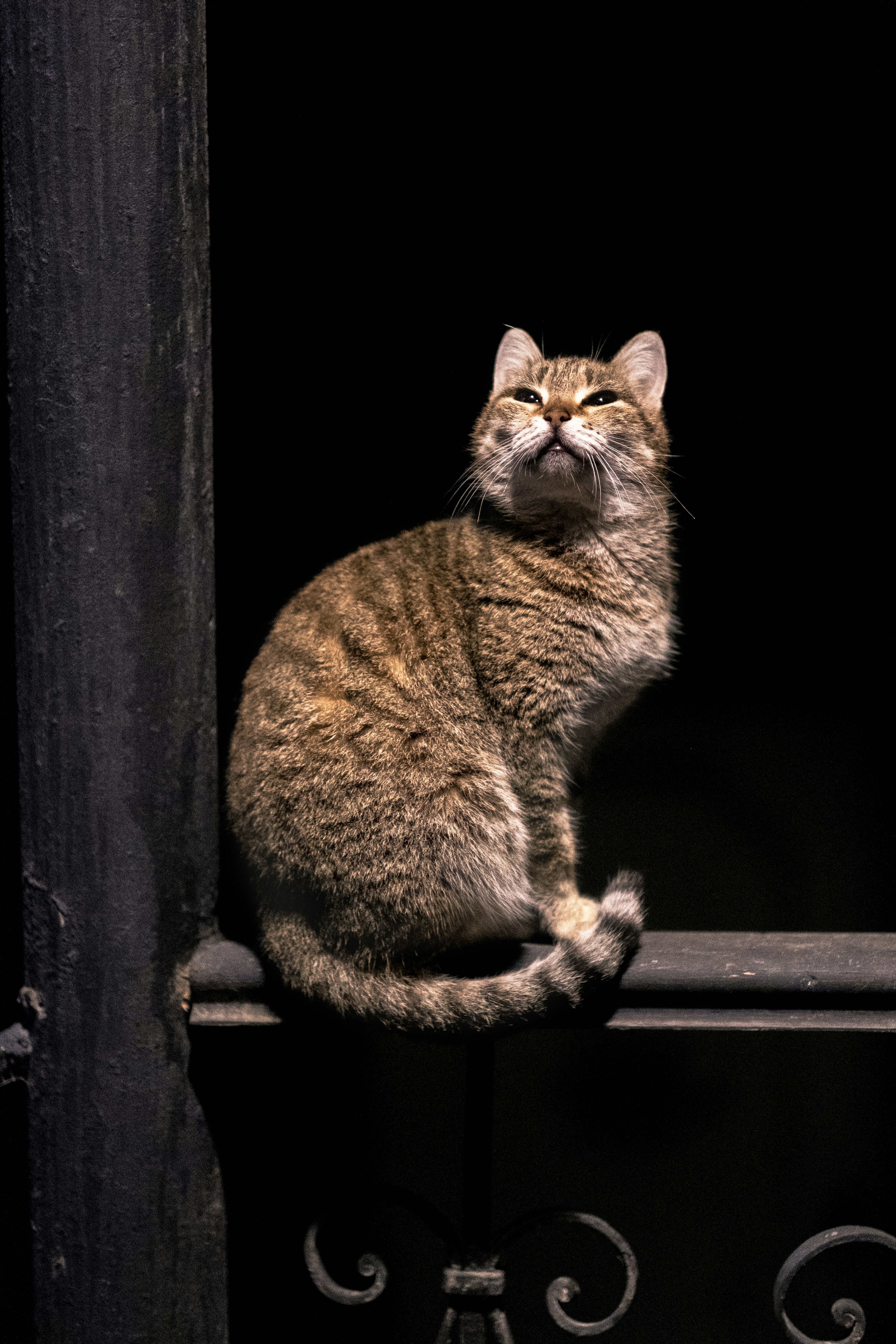 Photo by gerhardreus