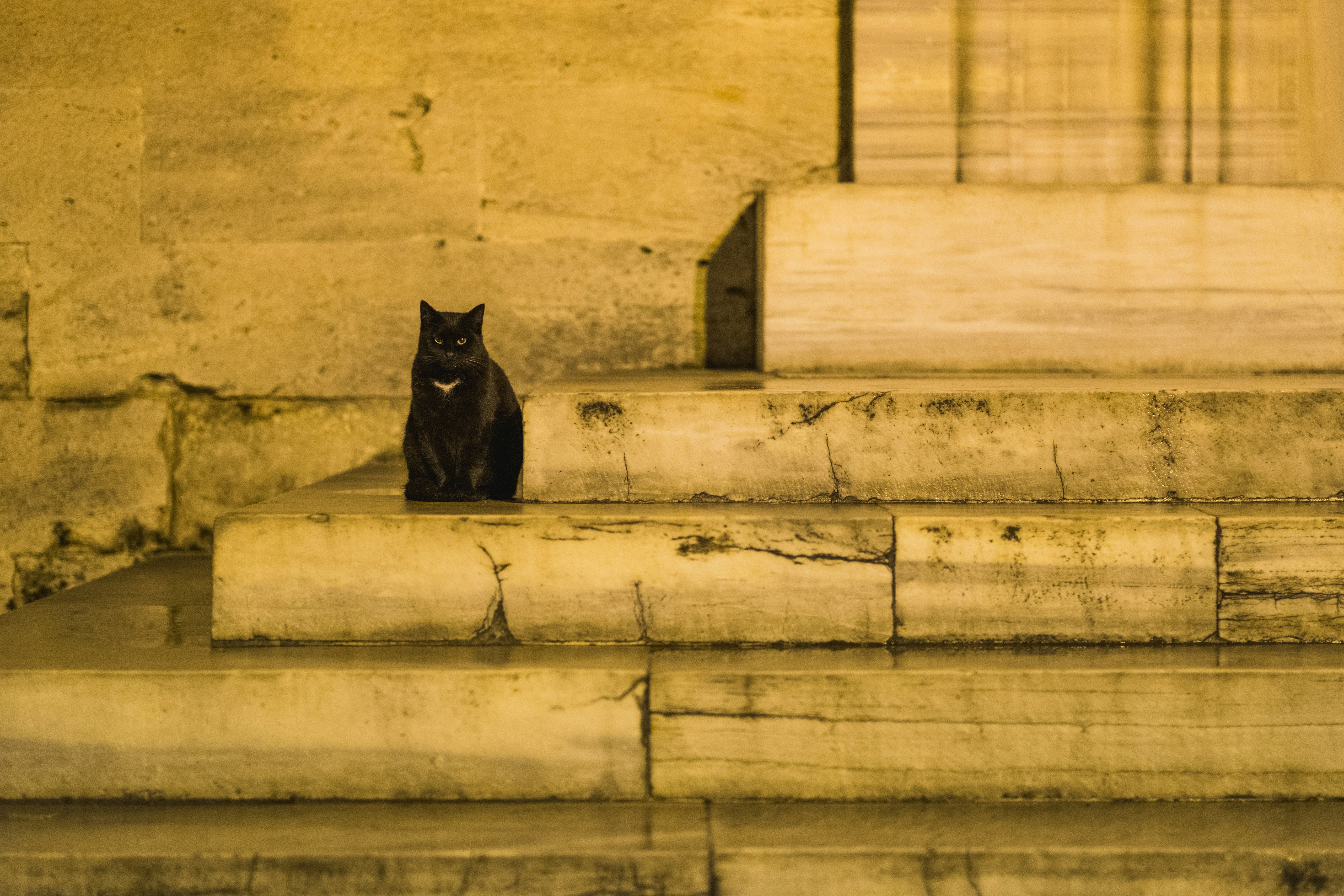 Photo by gerhardreus