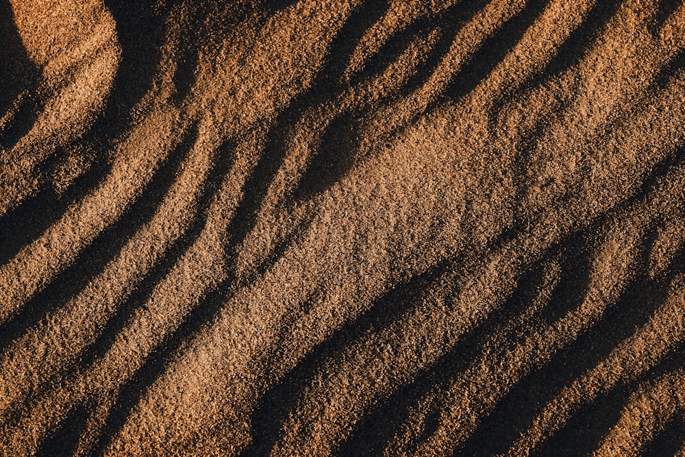 shadow of person on brown sand