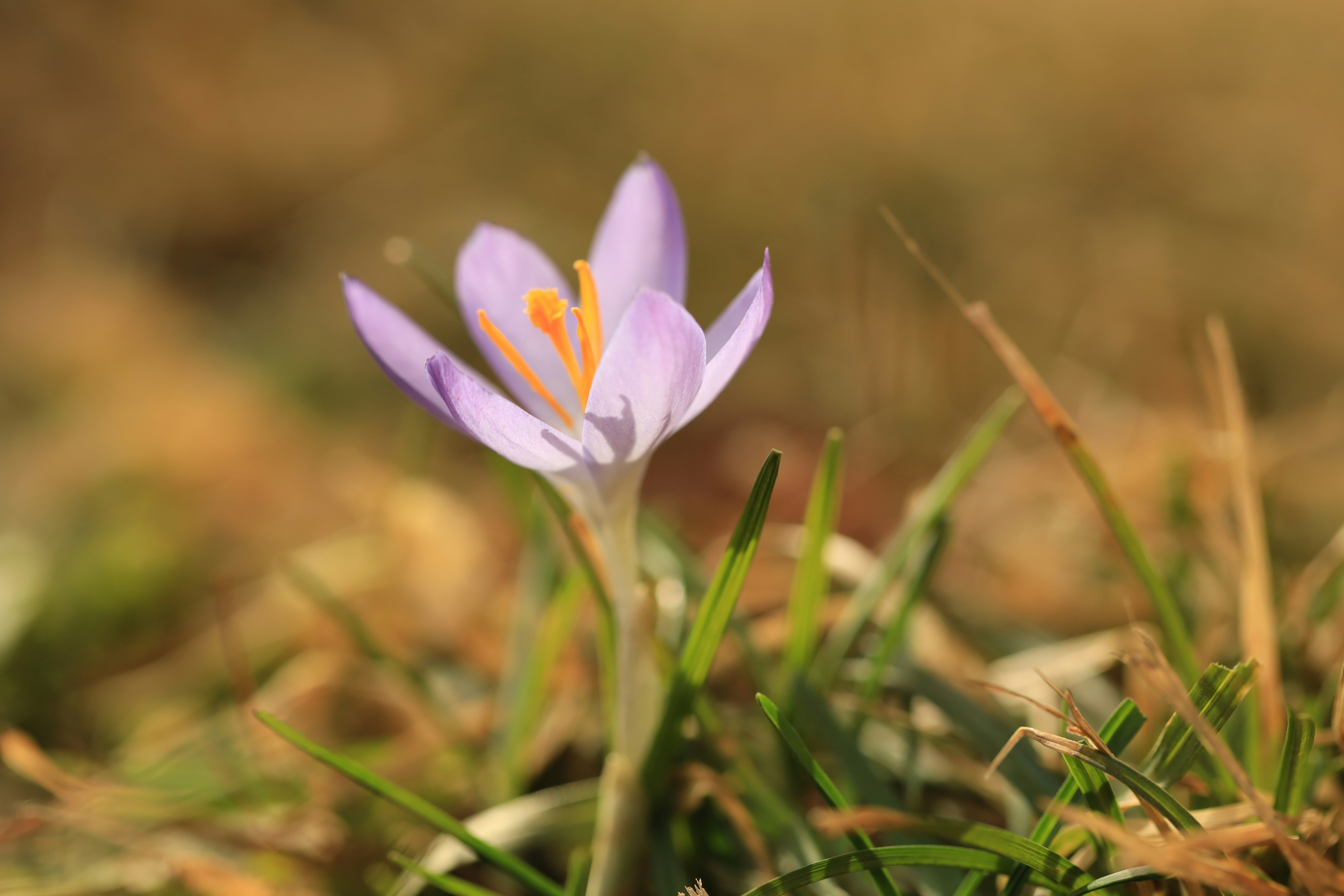 Photo by richardworks