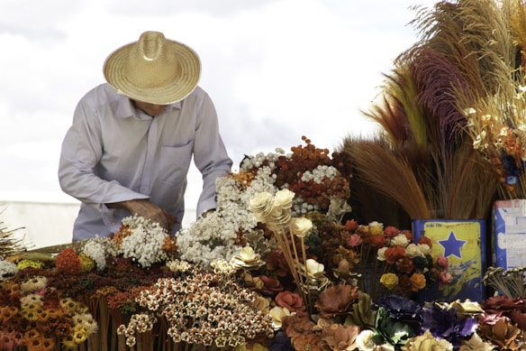 A person wearing a straw hat is arranging and examining a variety of dried flowers. The flowers, in multiple textures and colors, are displayed on a table. The background includes a clear sky and more dried flower arrangements in tall bunches. The scene conveys an artisanal and rustic atmosphere.