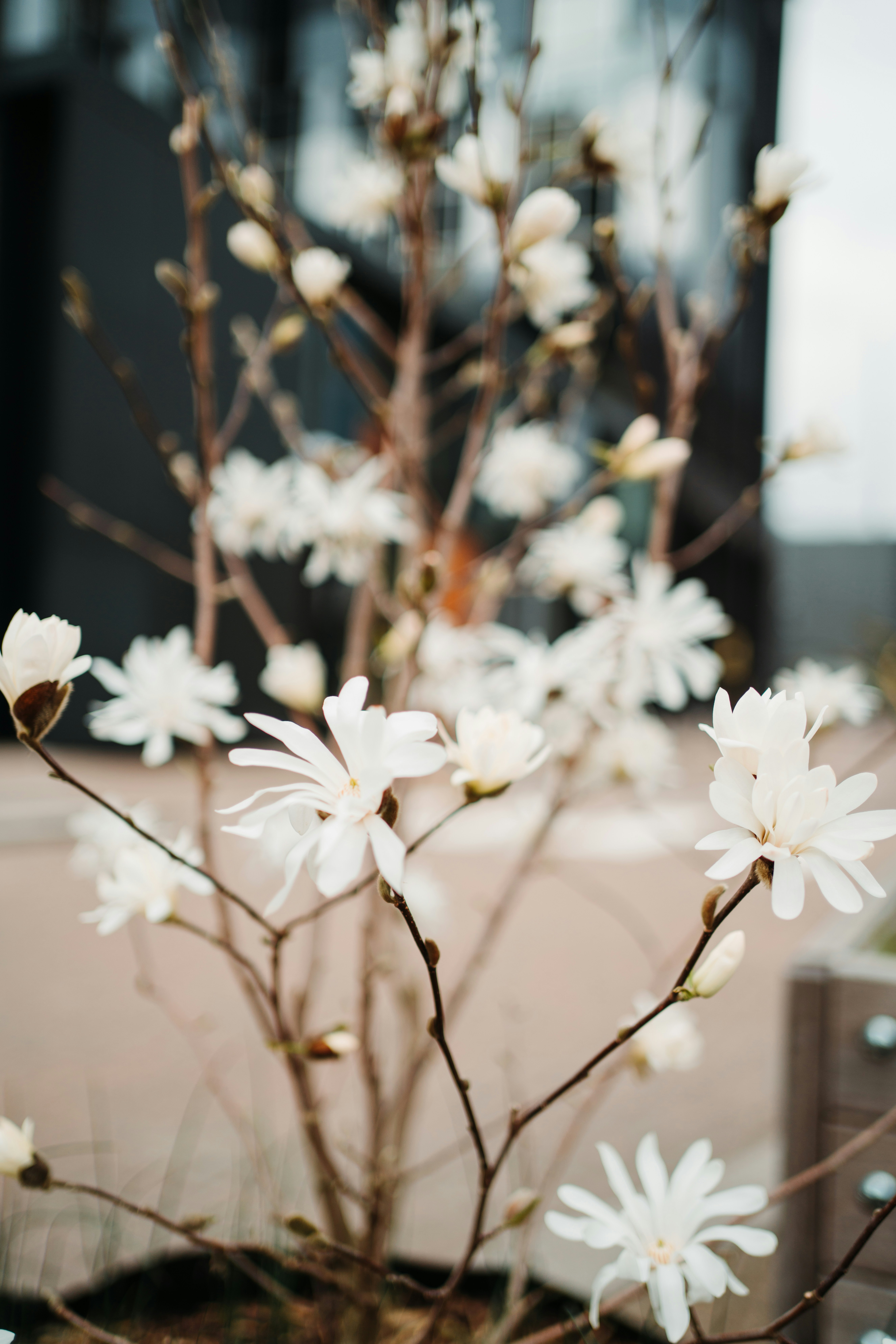 Photo by orangetiephotography