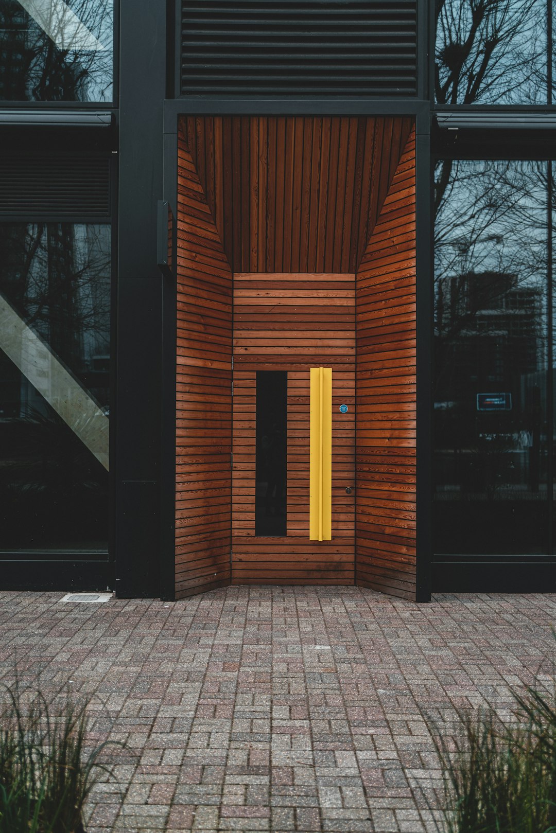 brown wooden door near bare trees during daytime