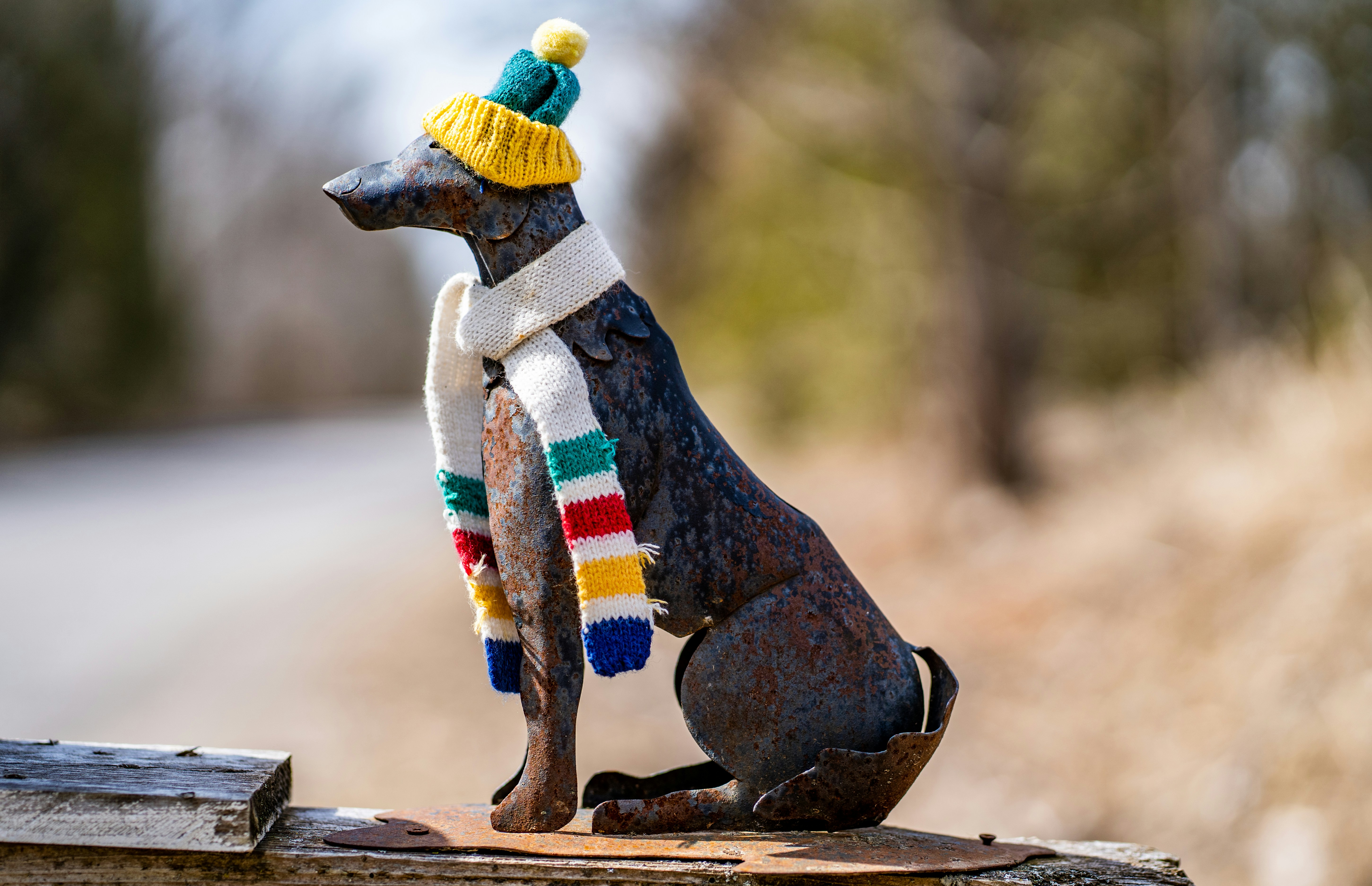 metal dog ornament in HudsonBay Co gear