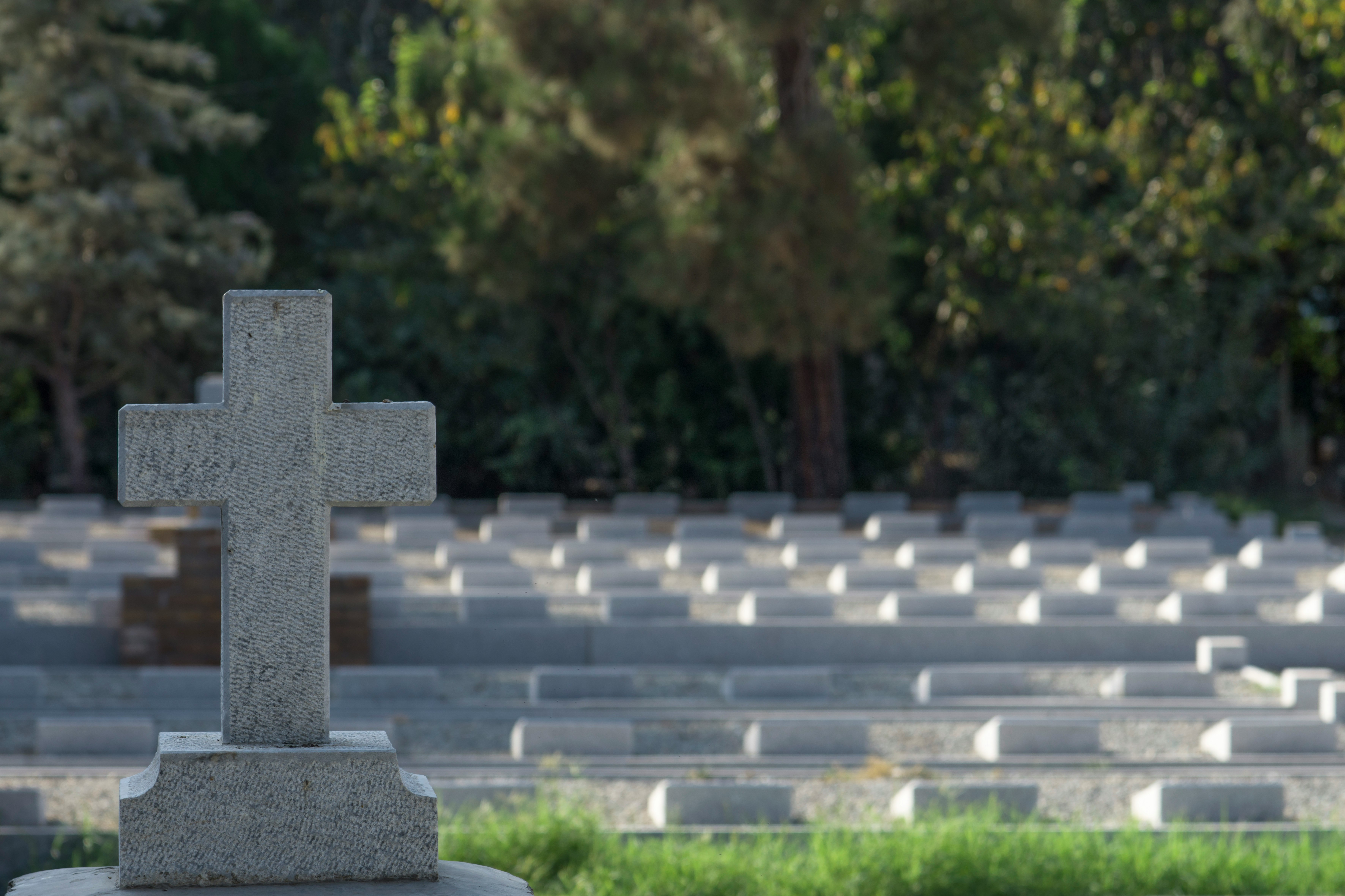 gray concrete blocks on green grass field during daytime