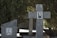 Several stone grave markers in a cemetery, with images of two individuals displayed on them. One is a cross-shaped marker with a woman's photo, and another adjacent marker features a man's photo. The background includes dense, green foliage.