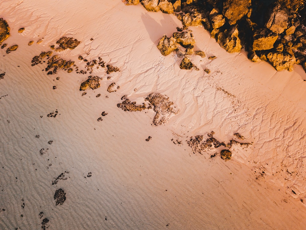 brown sand and body of water