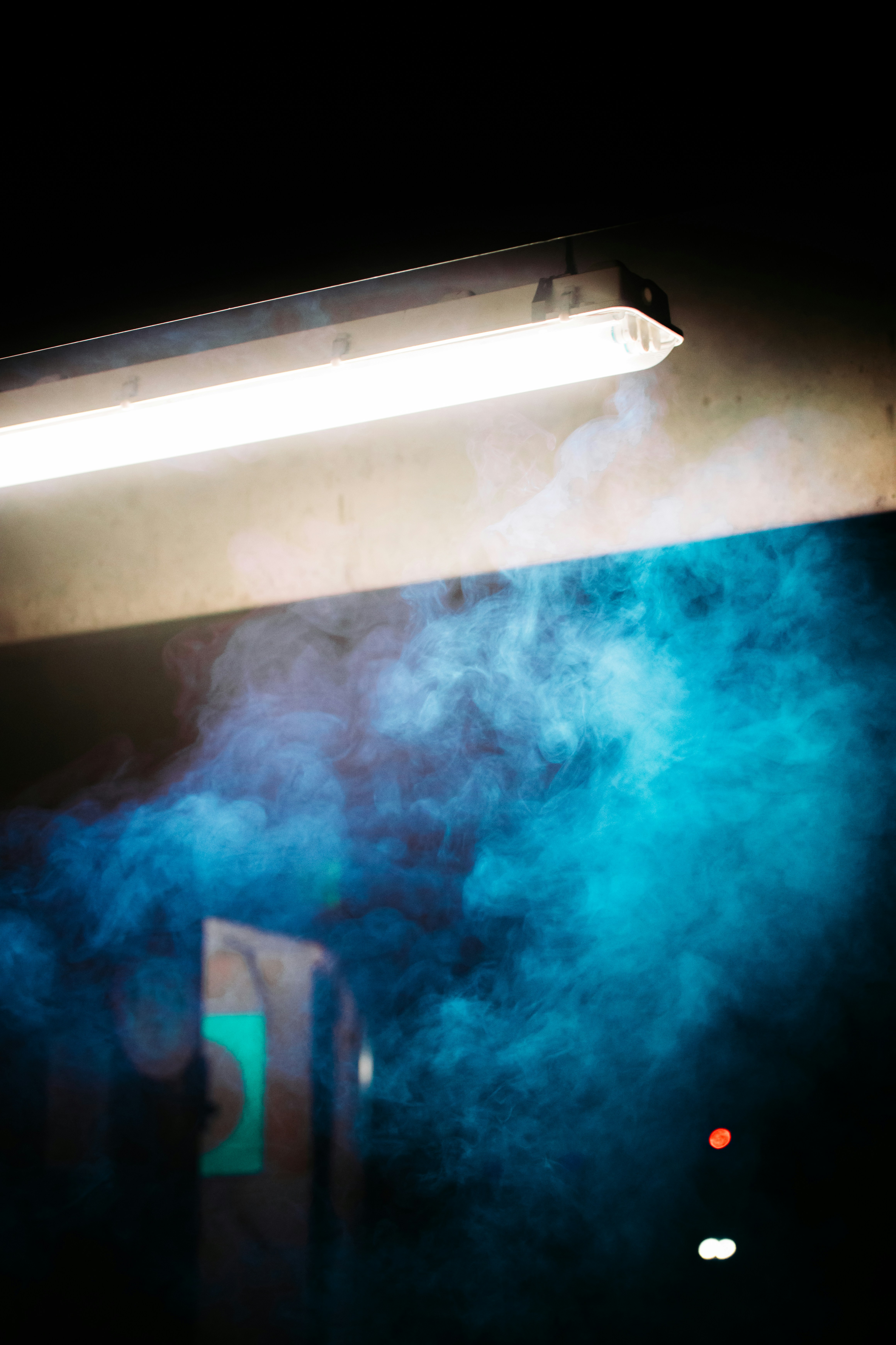 Photo by jakobnoahrosen