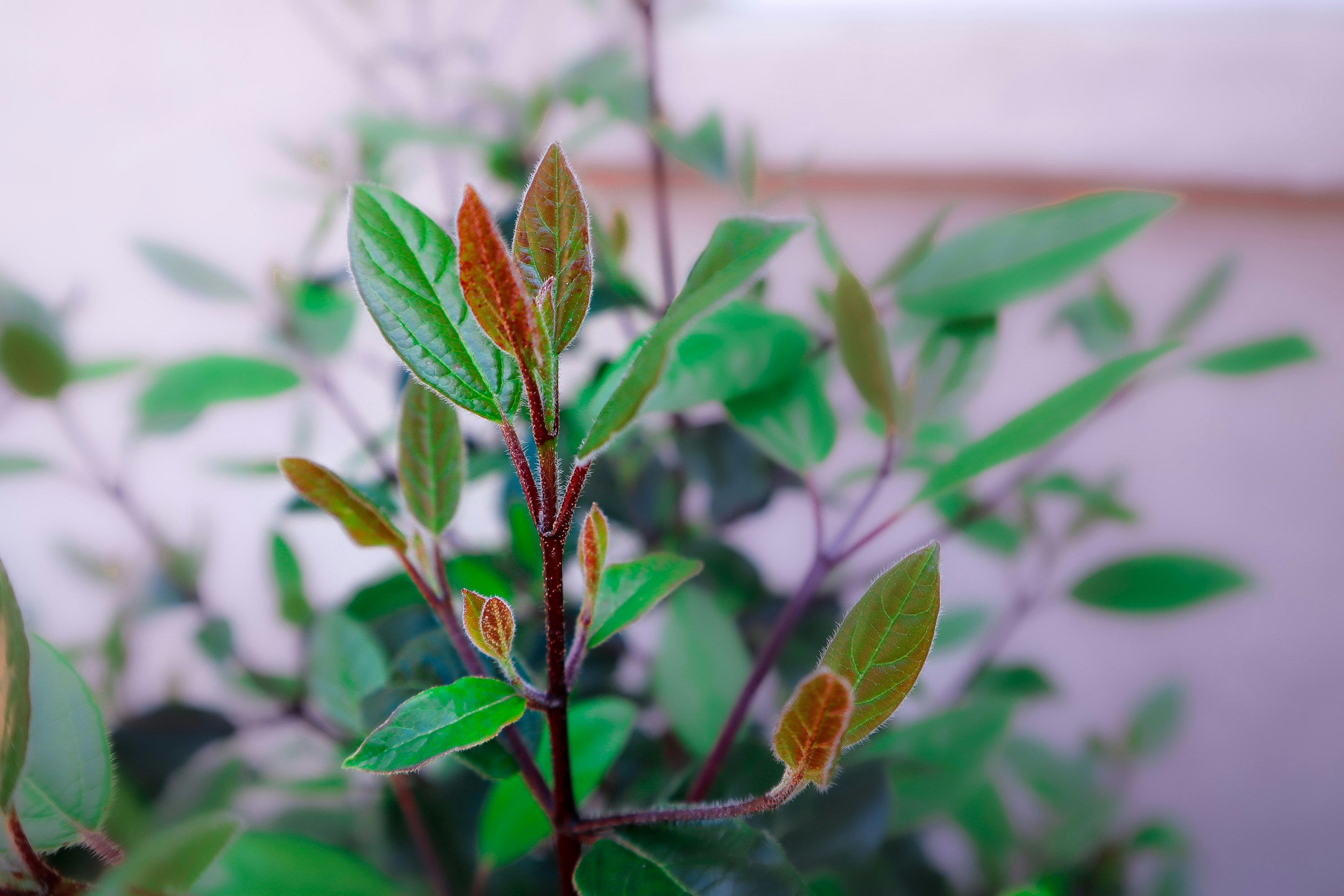 Photo by lg_photography